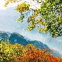 孙兴慜俱乐部赛事进球助赛后发声(孙兴慜最新进球视频)